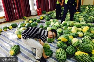 51热门大瓜爆料学校,校园风云录