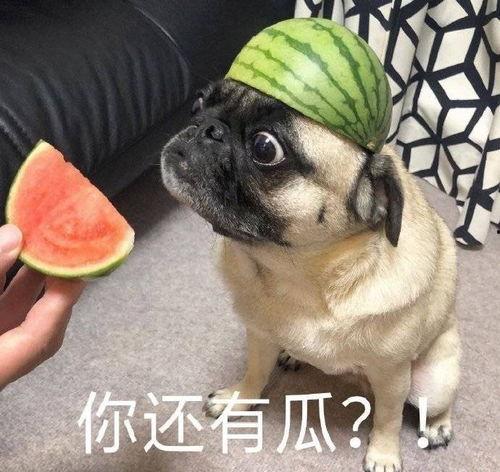 一点点吃瓜爆料,一点点吃瓜爆料，带你走进明星幕后生活