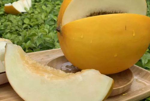 缅甸蜜瓜今日行情走势,今日波动解析与趋势展望