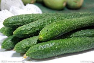 聊城什么瓜热门了,哪种瓜成为街头巷尾的新宠？