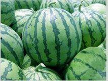 江苏鲜瓜价格今日价,实惠之选，品质生活新体验