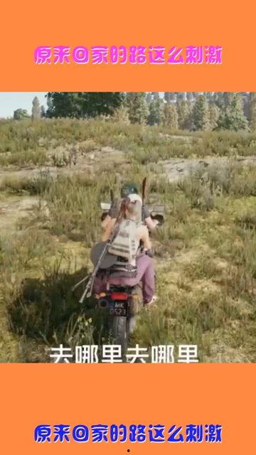 今日吃瓜回家的路,一路风景独好