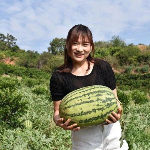 去年都有哪些热门大瓜,2023年度娱乐圈十大热门大瓜大盘点