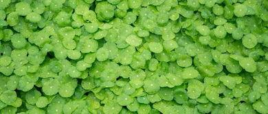 王瓜生今日照片,岁月如歌，风采依旧