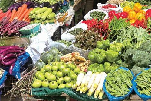 昆明小瓜最新今日行情,价格波动，市场动态一览
