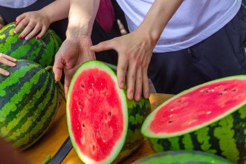 青州今日吃瓜事件视频,一场网络热议背后的真相揭秘