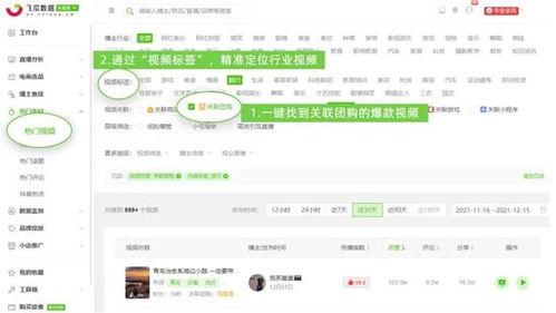 飞瓜数据热门视频下载,下载解析，带你领略短视频魅力