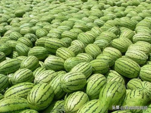 吃瓜网热门大,揭秘热门事件背后的真相与争议