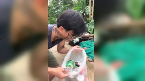 星野和鱼哥吃瓜新闻爆料,娱乐圈最新吃瓜大事件！