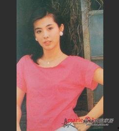 上海家庭煮饭明星网红,家庭煮饭网红的美食传奇