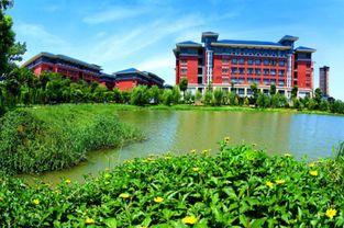 新华学院麻涌最热门瓜,揭秘最热门瓜背后的真相