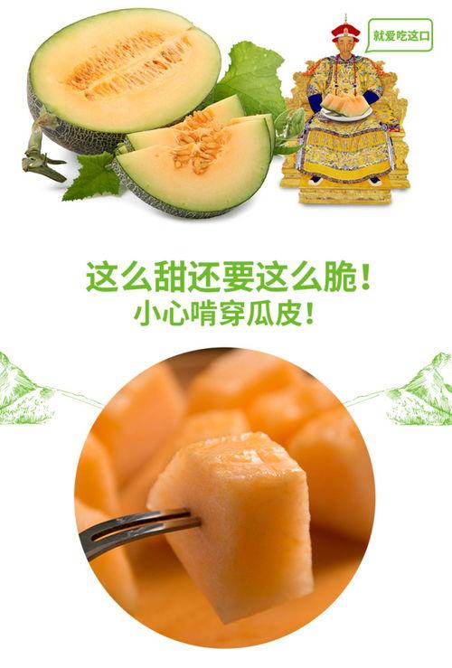 全球热门吃瓜网站推荐,揭秘娱乐圈幕后真相