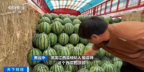 飞瓜博主创作有数上热门,数上热门的秘诀解析