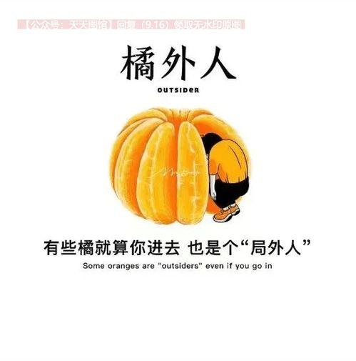 热门瓜抖音瓜社会瓜