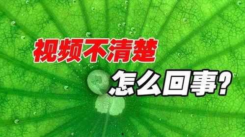 热门瓜抖音瓜社会瓜
