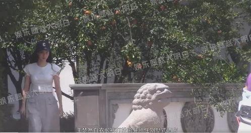 王楚然吃瓜爆料是真的吗,真相揭秘还是无端猜测？