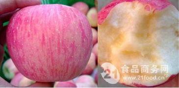 今日白瓜收购价,市场行情波动，价格涨跌不一