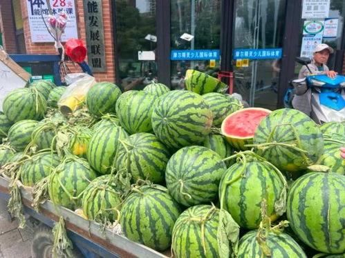 天仙市场吊瓜今日价格,今日天仙市场吊瓜价格行情一览