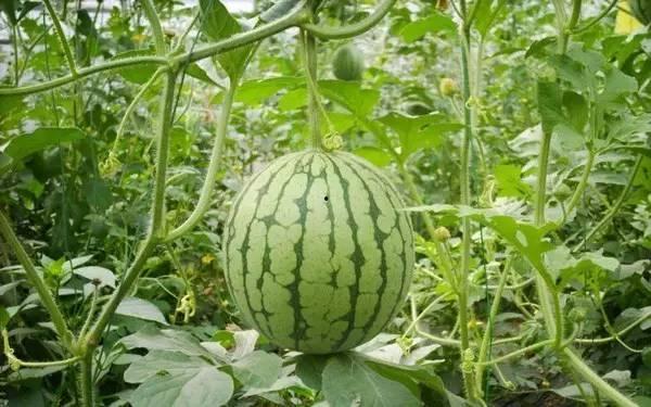 22年热门瓜事件,2022年度娱乐圈重磅瓜事大盘点