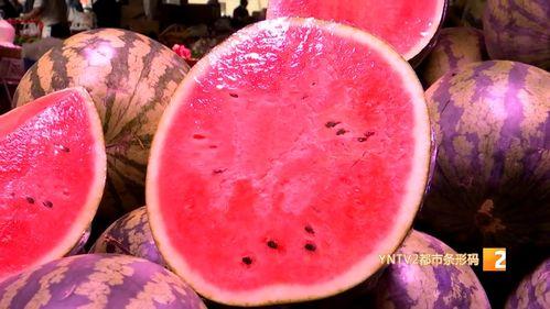 云南芒市麒麟瓜今日价位,价格行情一览