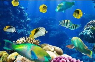 一线吃瓜娱乐圈by海底