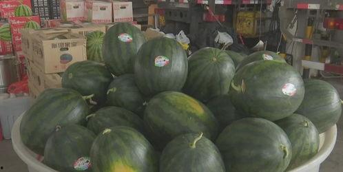 桐乡近期热门吃瓜事件,揭秘近期热门吃瓜事件背后的真相