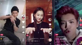 众多明星网红同台唱歌,明星网红同台献声，视听盛宴一触即发