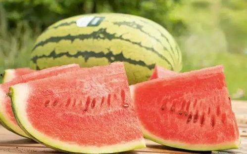 今日摘瓜什么价钱好吃,价格与口感双重考量，揭秘最佳购买指南