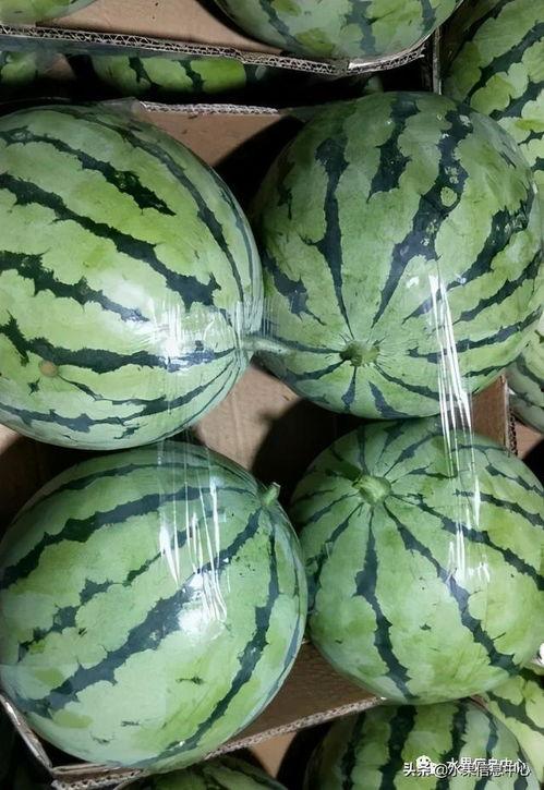 看看今日份吃的瓜,盘点娱乐圈新鲜热辣事件