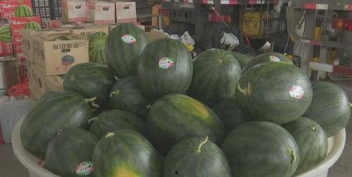 近期热门乐山吃瓜事件,一场吃瓜盛宴背后的真相揭秘