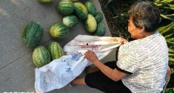 近期热门乐山吃瓜事件,一场吃瓜盛宴背后的真相揭秘