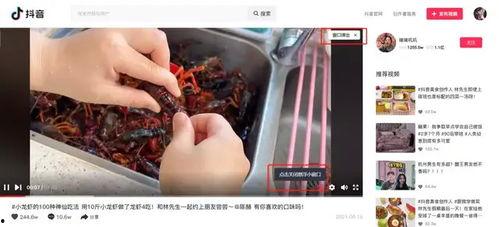 抖音热门大瓜黑料,真相与争议并存