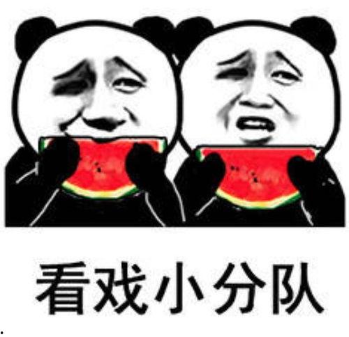 今日份瓜是快乐的,快乐分享，美好传递