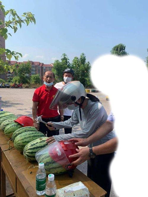 长春今日吃瓜事件最新,揭秘背后真相与网络舆论风暴