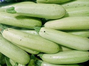 云南小瓜最新今日行情,丰收季里的价格波动与市场动态