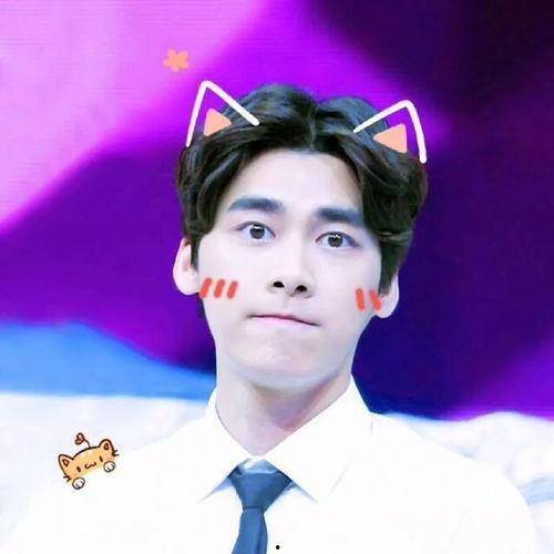 明星网红帅哥头像真人,揭秘明星网红帅哥的蜕变之路