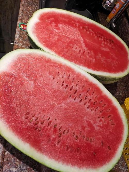 今日兰瓜价格最新行情,最新行情解析与市场趋势洞察”