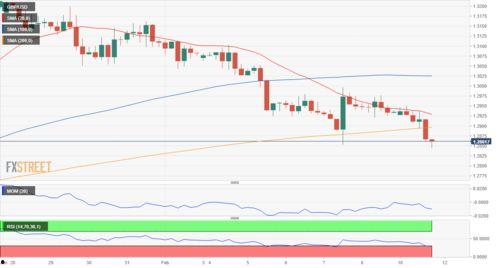 今日小瓜走势分析图表,今日市场动态一览