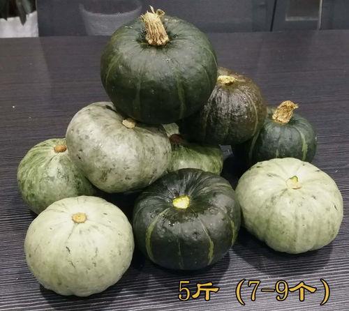 楚雄元谋今日小瓜价格,市场行情实时解析