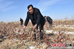 瓜州南岔今日新闻,聚焦今日热点，共话发展新篇
