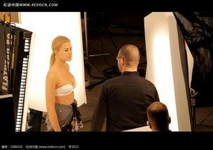 明星网红整合视频素材