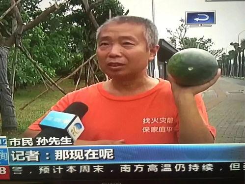 近期热门吃瓜事件体育生