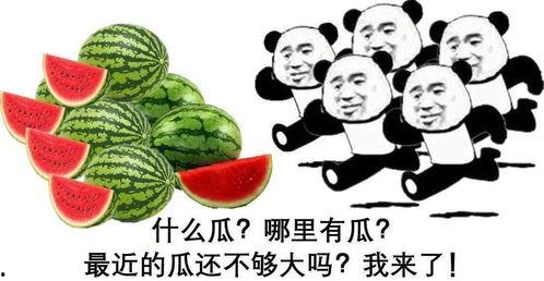 奇葩总汇热门大瓜视频