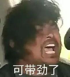 沙雕吃瓜爆料视频大全下载,揭秘热门视频大全下载攻略