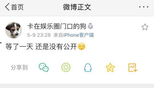 免费吃瓜爆料群有什么用,社交娱乐新趋势