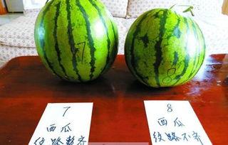 今日路亚圈大瓜,揭秘今日路亚圈惊人内幕