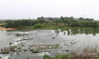 今日关注园洲土瓜圩