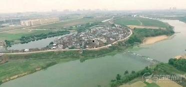 今日关注园洲土瓜圩