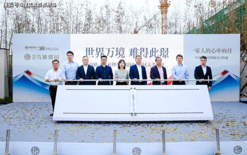 瓜茄今日行情最新报告,最新报告揭示价格波动与趋势