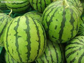 今日产地蒲瓜价格,今日产地行情一览”